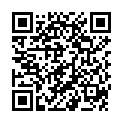 QR PHYTOMED SCH&uuml;SSLER №3 Феррум фосфорикум Dil D12 500 мл