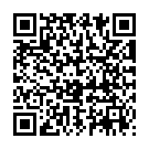 QR Активная поддержка EpiTrain Gr1 титан
