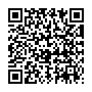 QR Активный бандаж MALLEOTRAIN размер 5 левый титан (n)