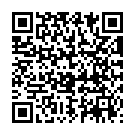 QR Zetuvit Plus Silicone Border 10x10cm 10 Stück