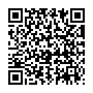 QR Stepty P No120p Eu Weiss 30 Stück