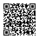 QR Подставка для лодыжки Bort Stabilo M на шнуровке XS серая