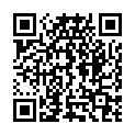 QR Herba bath brush bronze wire horsehair beech