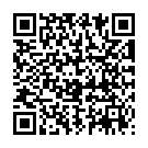 QR Herba Olivenholzbürste Wildschweinbo Pneum Oval