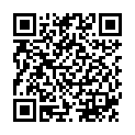 QR Bort 100 Ad Kkl2 II Gesch Norm Schw Trikot 1 Paar