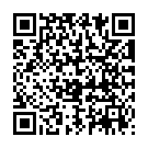 QR Bort Vital Ad Kkl2 Iv Offen Ku Schw Trikot 1 Paar
