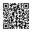 QR Bort Trend Ad Kkl2 I Offen Nor Sch Trikot 1 Paar