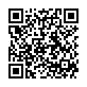 QR Bort Trend Ad Kkl2 II Offen Nor Sch Trikot 1 Paar