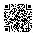 QR Bort Trend Ad Kkl2 Iv Offen Nor Sch Trikot 1 Paar