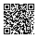 QR Bort Trend Ad Kkl2 V Offen Nor Sch Trikot 1 Paar