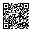 QR Bort Trend Ad Kkl2 Iv Gesch Nor Sch Trikot 1 Paar