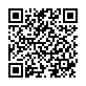 QR Swedish Posture insoles 3/4 L 41-43