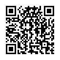 QR PHYTOMED SCH&Uuml;SSLER Nr13 Мышьяковистый калий Dil D 6 100 мл