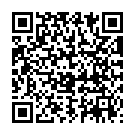 QR PHYTOMED SCH&Uuml;SSLER Nr21 Цинк хлоратум Dil D 6 100 мл