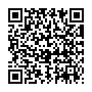 QR PHYTOMED SCH&uuml;SSLER № 15 Калий Йодатум Dil D12 100 мл