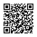 QR PHYTOMED SCH&uuml;SSLER № 17 Manganumulfericum Dil D12 100 мл