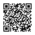 QR Sponser Low Carb Burner Pulver Wild Berries 20x 6g
