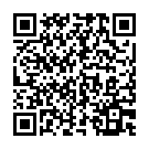 QR WERO SWISS Защитная маска типа IIR, маленькая