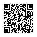 QR Reisenthel Travel cosmetic 4L Twist Silver