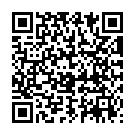 QR Таблетки Аюрведа Железо Расаяна 60 шт.