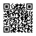 QR PHYTOMED SCH&Uuml;SSLER Nr20 калий-алюминиево-серный таблетки D 6 100