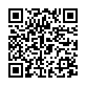 QR Herba Haarbürste Metallstifte Oval Buchenholz FSC