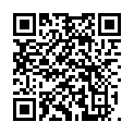 QR Phytomed Spagyr Arnica Montana Tropfen D 3 30ml