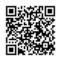QR Willi Fox Stuhlfaenger 25 Stück