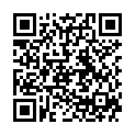QR Herba Haarbürste Metallstifte Lang Buchenholz FSC