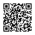 QR Morga Gewürz Anis Ganz Bio Dose 500g
