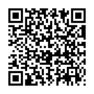 QR Spagyros Phosphoric Aci Globuli C 6 Grösse 3 Multicl 2g