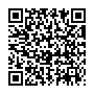 QR Spagyros Phosphoric Aci Globuli C 5 Grösse 3 Multicl 2g