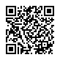 QR SN Zincum Metallicum Gran CH 7 4 г