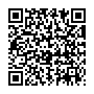 QR SN Manganum Metallicum Gran CH 9 4 г