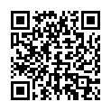 QR Sonnentor Ingwer Zitronen Tee Beutel 18 Stück