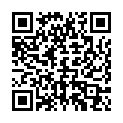 QR Органический пакетик чая Salus Lime Blossom с лимонной мятой, 15 шт.