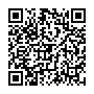 QR Подводка Carnival Color Kajal черный