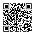 QR Absorin Finette Mini-Einlagen 31.3x14.3cm 14 Stück