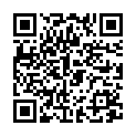 QR Sonnentor молотый имбирь в пакетиках 30г