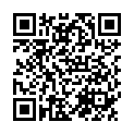 QR Schnitzer Bio Pizzabase Glutenfrei Einzelp 100g