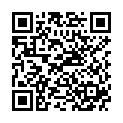 QR SFN Sicherheits-Portnadel 20Gx20mm