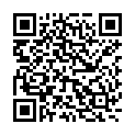 QR ЭНЕРЗАЙР БРИЖАЛЕР Инга 150/50/160мкг