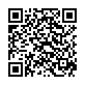 QR BRACEID AirMax Walker High Version M