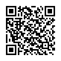 QR VIPIBAX GIARDIEN EX Wischkonzentrat