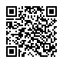 QR SENI Fix Comfort Netzhosen XXL