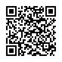 QR BORT VARIO Rückenband Pel M grau