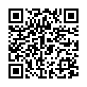QR INCIDIN Alcohol Wipe