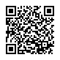 QR GIBAUD CHALEUR Nierenwärmer L 30cm anthrazit