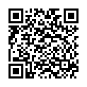 QR VT IMPULS AD KKL2 IV p/l gFs caramel