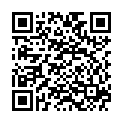 QR VT IMPULS AD KKL2 VI p/s gFs caramel